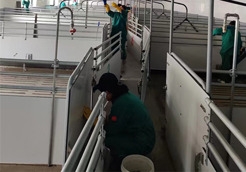 安平养殖场清洁消毒
